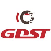 GDST Shock Absorber Manufacturer in China