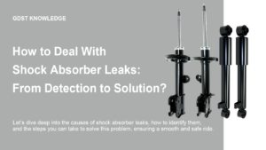 shock absorber leak knowledge