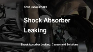 shock absorber leaking